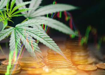 A 5StarsStocks Cannabis plant is in focus on the left side of the image, showcasing its green leaves. In the background are stacks of gold coins, with financial graphs and charts overlaid on the image, highlighting a connection to the financial market. | 5StarsStocks