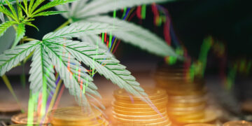 A 5StarsStocks Cannabis plant is in focus on the left side of the image, showcasing its green leaves. In the background are stacks of gold coins, with financial graphs and charts overlaid on the image, highlighting a connection to the financial market. | 5StarsStocks