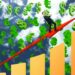 Featured image for: Dividend Growth vs. High Yield: Which Strategy Wins in a Falling Rate Environment?
