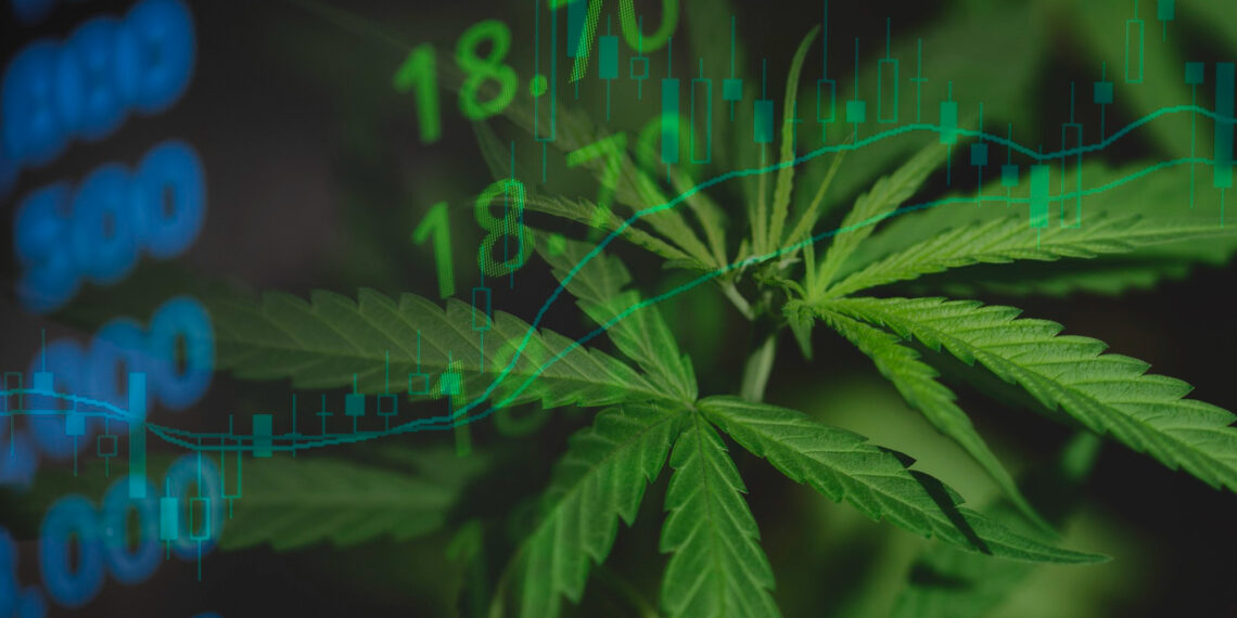 A close-up of cannabis leaves overlaid with green stock market numbers and graph lines, symbolizing the financial growth of the cannabis industry. | 5StarsStocks