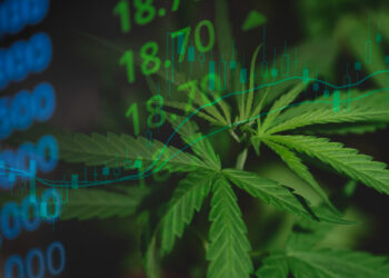 A close-up of cannabis leaves overlaid with green stock market numbers and graph lines, symbolizing the financial growth of the cannabis industry. | 5StarsStocks